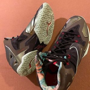 Nike Lebron 11 “Kings Pride”